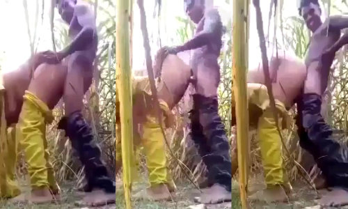Bengali Village Girlfriend Fucked In A Cultivated Land